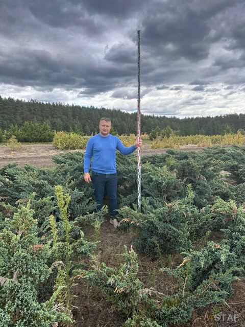 Команда и инструмент